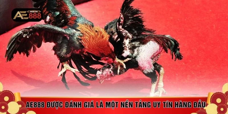 AE888 được đánh giá là một nền tảng uy tín hàng đầu