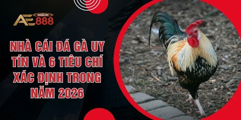 Nhà Cái Đá Gà Uy Tín Và 6 Tiêu Chí Xác Định Trong Năm 2026