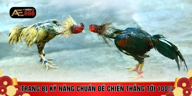 Trang bị kỹ năng chuẩn để chiến thắng tới 100%