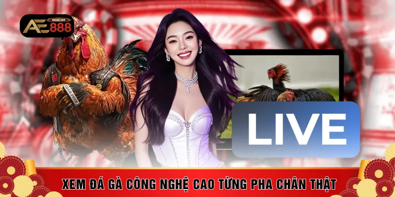 Xem đá gà công nghệ cao với từng pha chân thật
